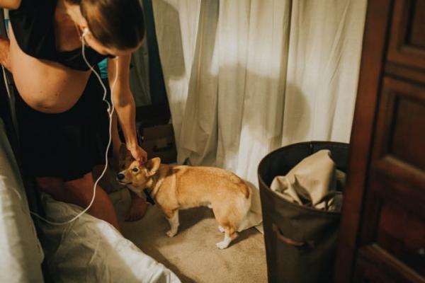 Cảm động chú chó Corgi biết giúp chủ của mình vượt qua cơn sinh nở tại nhà Cảm động chú chó Corgi biết giúp chủ của mình vượt qua cơn sinh nở tại nhà