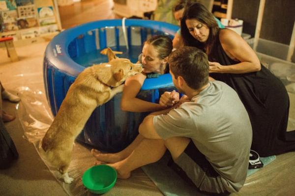 Cảm động chú chó Corgi biết giúp chủ của mình vượt qua cơn sinh nở tại nhà Cảm động chú chó Corgi biết giúp chủ của mình vượt qua cơn sinh nở tại nhà