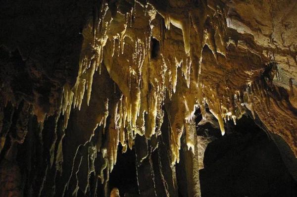 Những thí nghiệm quái đản mà người thực hiện đã ‘hy sinh thân mình’ vì sự phát triển của y học (P2) Những thí nghiệm quái đản mà người thực hiện đã ‘hy sinh thân mình’ vì sự phát triển của y học (P2)