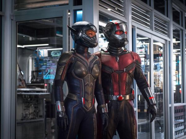 'Người Kiến' Paul Rudd: Nổi tiếng nhưng lại ngại trả lời phỏng vấn 'Người Kiến' Paul Rudd: Nổi tiếng nhưng lại ngại trả lời phỏng vấn