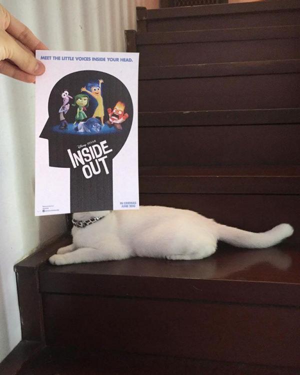 Chơi trò gì vui với poster phim bây giờ? Hãy học hỏi chuyên gia đồ họa Malaysia này ngay Chơi trò gì vui với poster phim bây giờ? Hãy học hỏi chuyên gia đồ họa Malaysia này ngay