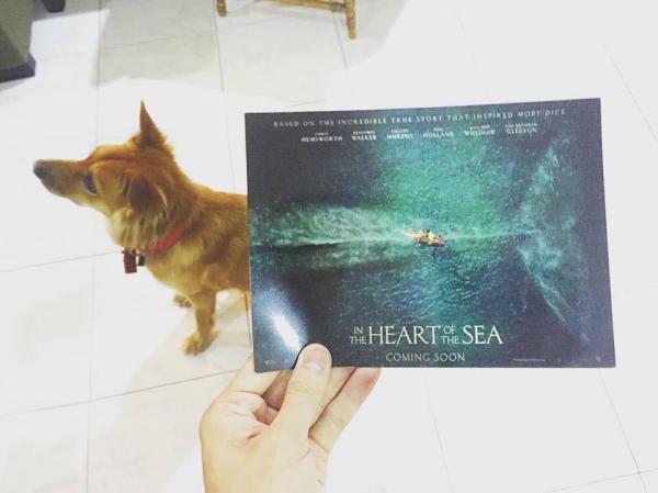 Chơi trò gì vui với poster phim bây giờ? Hãy học hỏi chuyên gia đồ họa Malaysia này ngay Chơi trò gì vui với poster phim bây giờ? Hãy học hỏi chuyên gia đồ họa Malaysia này ngay