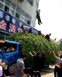 Nạn nhân trong đám cháy lớn may mắn thoát chết nhờ... xe chở rau mầm Nạn nhân trong đám cháy lớn may mắn thoát chết nhờ... xe chở rau mầm
