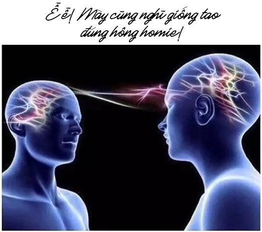 Trong nhóm 'cạ cứng' thể nào cũng có chừng này loại, không tin bạn cứ ngẫm nghĩ thử xem Trong nhóm 'cạ cứng' thể nào cũng có chừng này loại, không tin bạn cứ ngẫm nghĩ thử xem