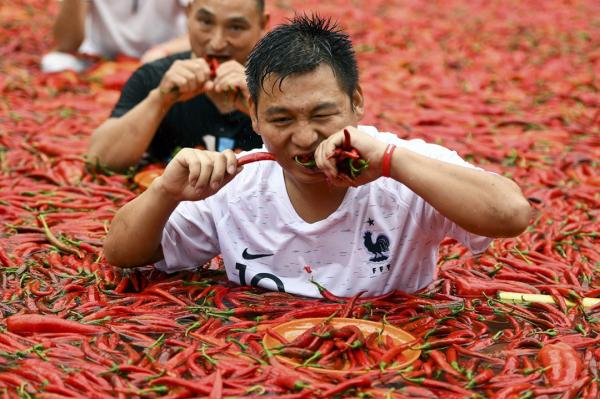 Thi ăn ớt trong thời tiết nóng cực độ ở Trung Quốc, quán quân 'xơi' hết 50 trái chỉ mất 68 giây Thi ăn ớt trong thời tiết nóng cực độ ở Trung Quốc, quán quân 'xơi' hết 50 trái chỉ mất 68 giây