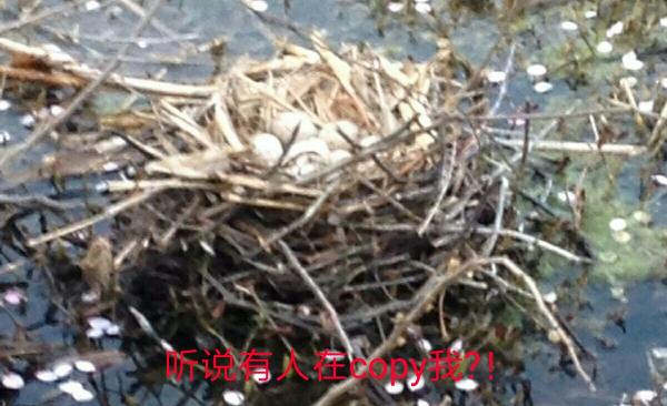 Thời trang tóc 'trời ơi đất hỡi' trong phim Hoa ngữ: Không đùi gà thì cũng là bánh sừng trâu Thời trang tóc 'trời ơi đất hỡi' trong phim Hoa ngữ: Không đùi gà thì cũng là bánh sừng trâu