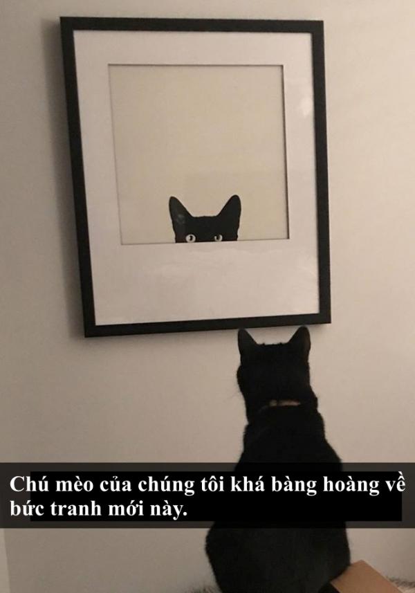 Loài mèo âm mưu thống trị thế giới, bắt đầu từ... Snapchat Loài mèo âm mưu thống trị thế giới, bắt đầu từ... Snapchat
