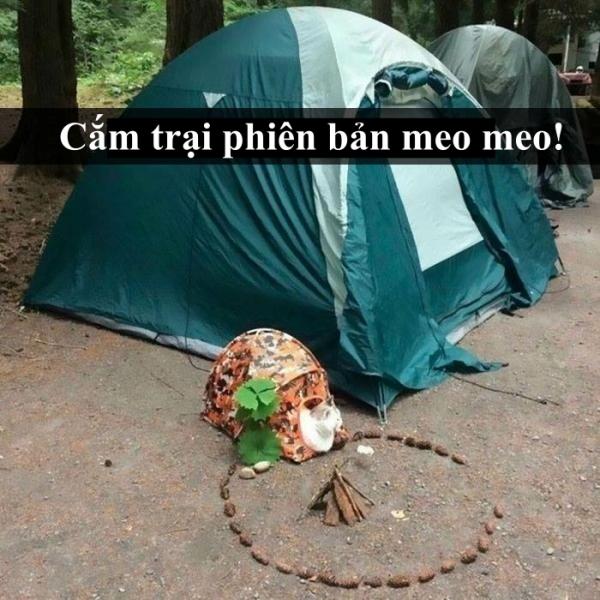 Loài mèo âm mưu thống trị thế giới, bắt đầu từ... Snapchat Loài mèo âm mưu thống trị thế giới, bắt đầu từ... Snapchat