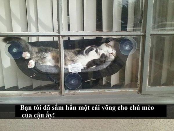 Loài mèo âm mưu thống trị thế giới, bắt đầu từ... Snapchat Loài mèo âm mưu thống trị thế giới, bắt đầu từ... Snapchat
