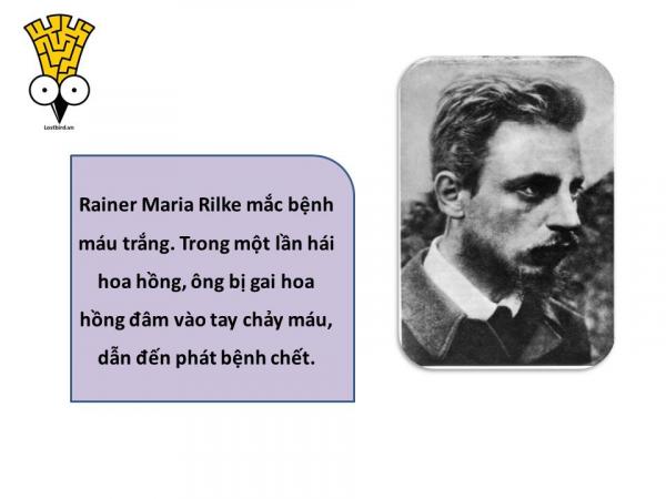 Nghìn lẻ một kiểu chết khó đỡ của người xưa (Phần 3) Nghìn lẻ một kiểu chết khó đỡ của người xưa (Phần 3)