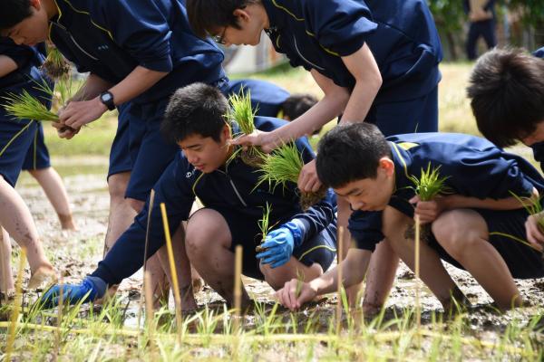 Chuyện chỉ có ở Nhật Bản: Khi nghệ thuật và nông nghiệp cùng nhau thăng hoa Chuyện chỉ có ở Nhật Bản: Khi nghệ thuật và nông nghiệp cùng nhau thăng hoa