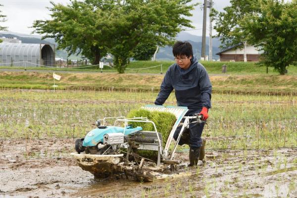 Chuyện chỉ có ở Nhật Bản: Khi nghệ thuật và nông nghiệp cùng nhau thăng hoa Chuyện chỉ có ở Nhật Bản: Khi nghệ thuật và nông nghiệp cùng nhau thăng hoa