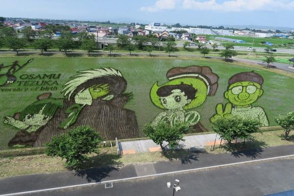 Chuyện chỉ có ở Nhật Bản: Khi nghệ thuật và nông nghiệp cùng nhau thăng hoa Chuyện chỉ có ở Nhật Bản: Khi nghệ thuật và nông nghiệp cùng nhau thăng hoa