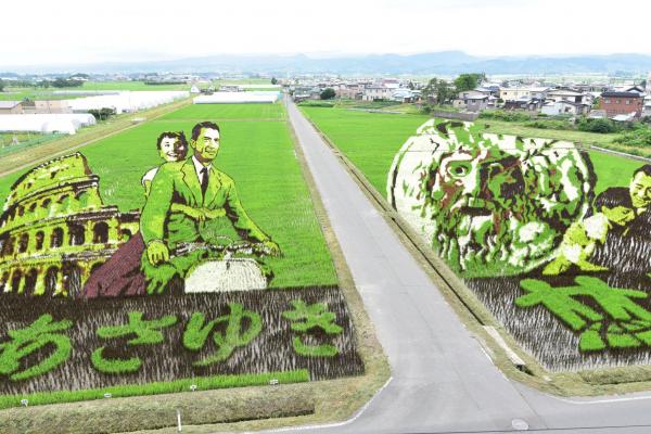 Chuyện chỉ có ở Nhật Bản: Khi nghệ thuật và nông nghiệp cùng nhau thăng hoa Chuyện chỉ có ở Nhật Bản: Khi nghệ thuật và nông nghiệp cùng nhau thăng hoa