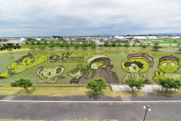 Chuyện chỉ có ở Nhật Bản: Khi nghệ thuật và nông nghiệp cùng nhau thăng hoa Chuyện chỉ có ở Nhật Bản: Khi nghệ thuật và nông nghiệp cùng nhau thăng hoa