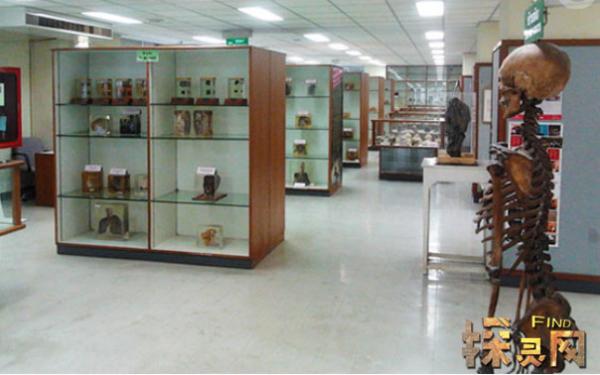 Bảo tàng kinh dị ở Thái Lan: Hãy đến khi bạn đã chuẩn bị tâm lý sẵn sàng Bảo tàng kinh dị ở Thái Lan: Hãy đến khi bạn đã chuẩn bị tâm lý sẵn sàng