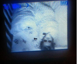 Giật mình khiếp sợ hình ảnh 'creepy' được chụp lại từ camera quan sát phòng ngủ của trẻ Giật mình khiếp sợ hình ảnh 'creepy' được chụp lại từ camera quan sát phòng ngủ của trẻ