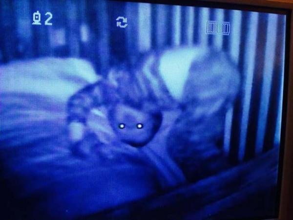 Giật mình khiếp sợ hình ảnh 'creepy' được chụp lại từ camera quan sát phòng ngủ của trẻ Giật mình khiếp sợ hình ảnh 'creepy' được chụp lại từ camera quan sát phòng ngủ của trẻ