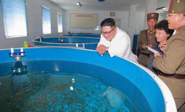 Kim Jong Un 'vi hành': Nhà máy xà phòng, nông trại cá và những chiếc balo màu hồng Kim Jong Un 'vi hành': Nhà máy xà phòng, nông trại cá và những chiếc balo màu hồng