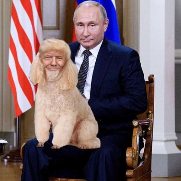 Trump - Putin gặp nhau thì làm sao không bùng nổ 'cơn bão meme' cho được? Trump - Putin gặp nhau thì làm sao không bùng nổ 'cơn bão meme' cho được?