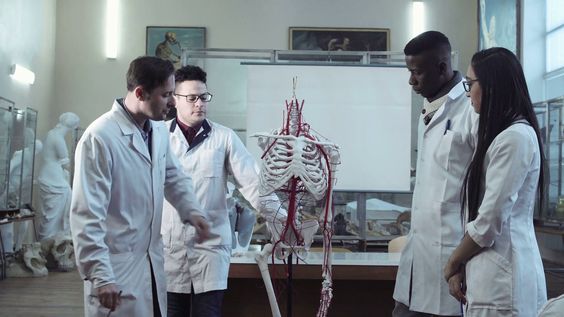 Những bộ xương người trong phòng thí nghiệm là thật hay giả? Những bộ xương người trong phòng thí nghiệm là thật hay giả?