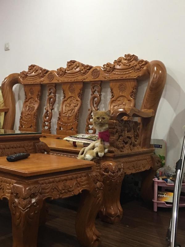 Bộ mặt hờn dỗi cả thế giới của các boss khi bị 'con sen' cạo lông không thương tiếc Bộ mặt hờn dỗi cả thế giới của các boss khi bị 'con sen' cạo lông không thương tiếc