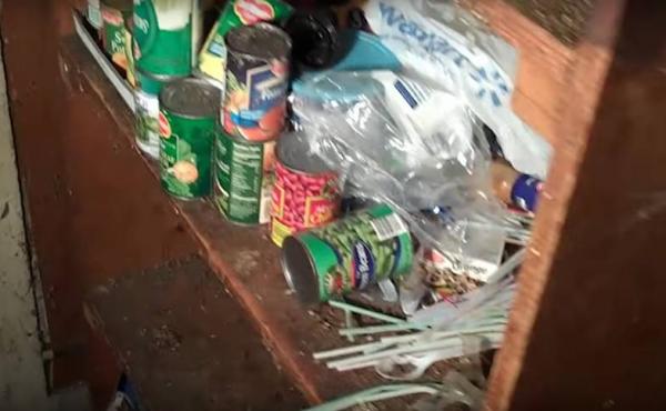 'Đốt nhà diệt gián' không còn là câu nói đùa trên mạng nữa 'Đốt nhà diệt gián' không còn là câu nói đùa trên mạng nữa
