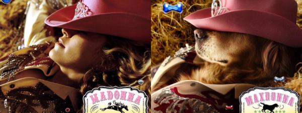 Khi cún cưng trở thành gương mặt đại diện thay cho Madonna Khi cún cưng trở thành gương mặt đại diện thay cho Madonna