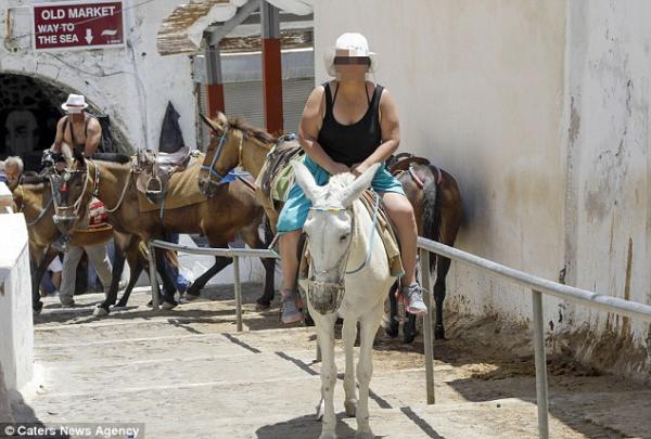 Lừa trên đảo Santorini gục chết khi phải vận chuyển quá nhiều khách du lịch nặng ký Lừa trên đảo Santorini gục chết khi phải vận chuyển quá nhiều khách du lịch nặng ký