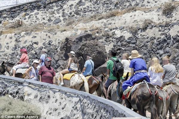 Lừa trên đảo Santorini gục chết khi phải vận chuyển quá nhiều khách du lịch nặng ký Lừa trên đảo Santorini gục chết khi phải vận chuyển quá nhiều khách du lịch nặng ký