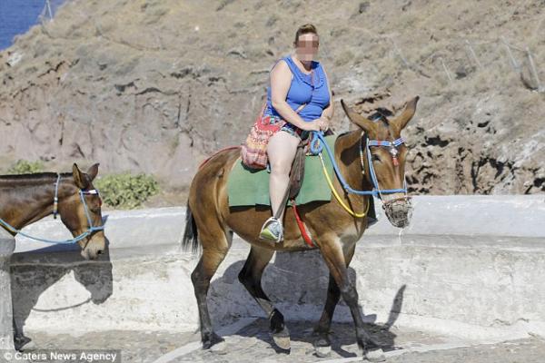 Lừa trên đảo Santorini gục chết khi phải vận chuyển quá nhiều khách du lịch nặng ký Lừa trên đảo Santorini gục chết khi phải vận chuyển quá nhiều khách du lịch nặng ký