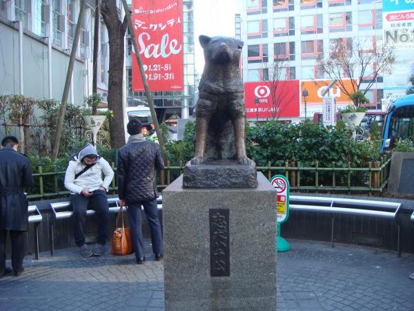 Nếu chỉ còn một ngày để tận hưởng Tokyo, đây là những nơi nhất định bạn phải đến thăm Nếu chỉ còn một ngày để tận hưởng Tokyo, đây là những nơi nhất định bạn phải đến thăm