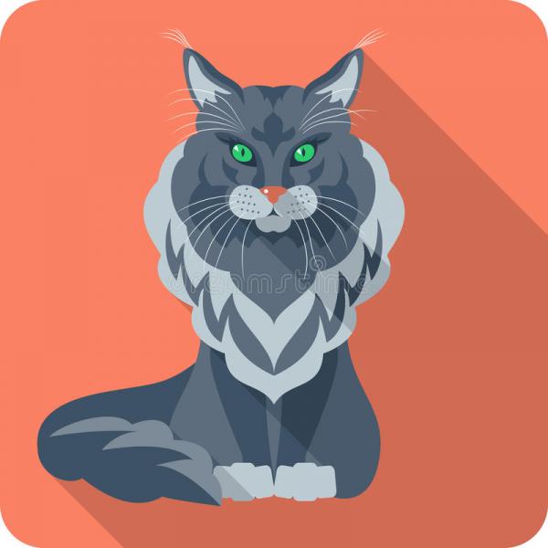 17 chú mèo dòng Maine Coon đẹp chẳng khác gì sinh vật trong truyện cổ tích 17 chú mèo dòng Maine Coon đẹp chẳng khác gì sinh vật trong truyện cổ tích