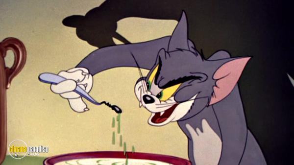 Xem 'Tom & Jerry' cả tuổi thơ nhưng có thể bạn vẫn chưa biết 11 sự thật này Xem 'Tom & Jerry' cả tuổi thơ nhưng có thể bạn vẫn chưa biết 11 sự thật này