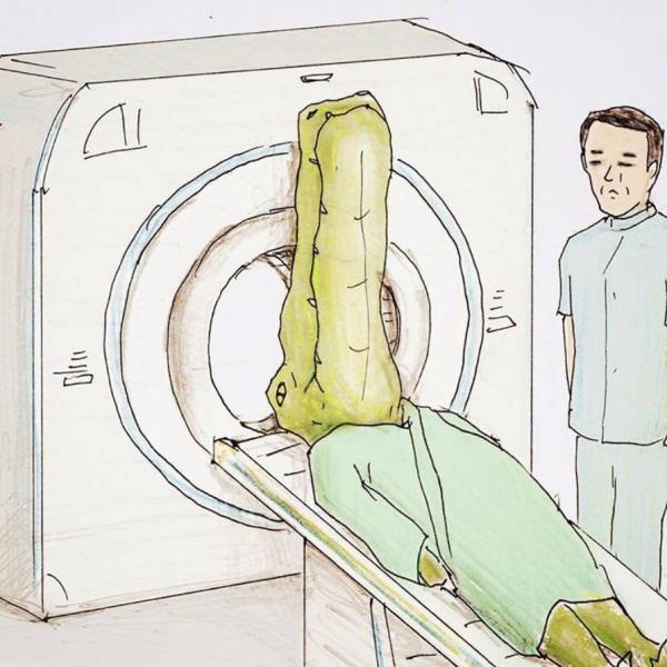 Rắc rối kéo đến khi động vật, hoa quả giống như con người Rắc rối kéo đến khi động vật, hoa quả giống như con người