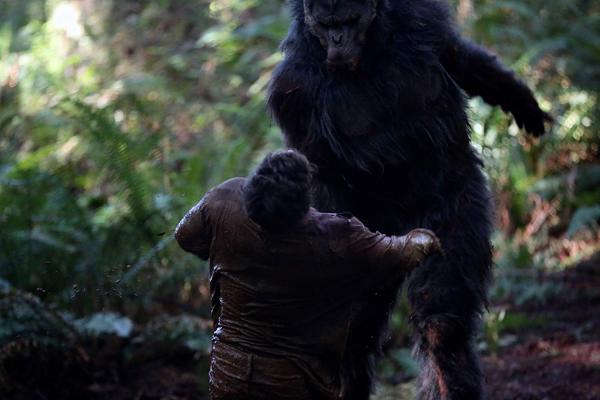 6 bộ phim về sinh vật huyền bí Bigfoot dành cho những ai tò mò 6 bộ phim về sinh vật huyền bí Bigfoot dành cho những ai tò mò