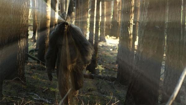 6 bộ phim về sinh vật huyền bí Bigfoot dành cho những ai tò mò 6 bộ phim về sinh vật huyền bí Bigfoot dành cho những ai tò mò