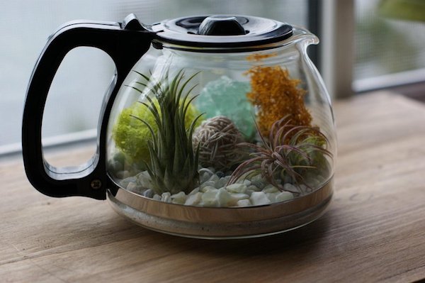 Những hình ảnh vui nhộn chứng minh rác thải của người này có thể là kho báu đối với người khác Những hình ảnh vui nhộn chứng minh rác thải của người này có thể là kho báu đối với người khác