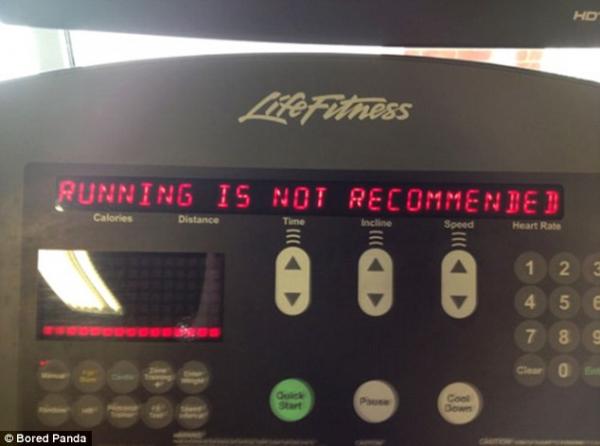 Những điều kỳ thú khiến bạn nhìn thấy mà quên cả tập ở phòng gym Những điều kỳ thú khiến bạn nhìn thấy mà quên cả tập ở phòng gym
