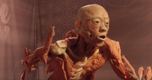 Xác tù nhân chính trị Trung Quốc bị đem ra làm vật trưng bày triển lãm tại Anh gây tranh cãi Xác tù nhân chính trị Trung Quốc bị đem ra làm vật trưng bày triển lãm tại Anh gây tranh cãi