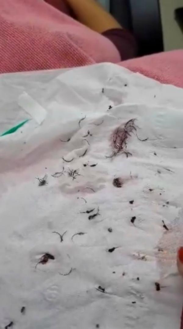 Kinh hoàng tiệm làm đẹp Thái Lan dùng... keo dán sắt để nối mi cho khách hàng Kinh hoàng tiệm làm đẹp Thái Lan dùng... keo dán sắt để nối mi cho khách hàng