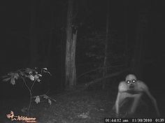 Tháng cô hồn, đừng dại mà thử thần kinh với những creepypasta đáng sợ nhất trên Internet Tháng cô hồn, đừng dại mà thử thần kinh với những creepypasta đáng sợ nhất trên Internet
