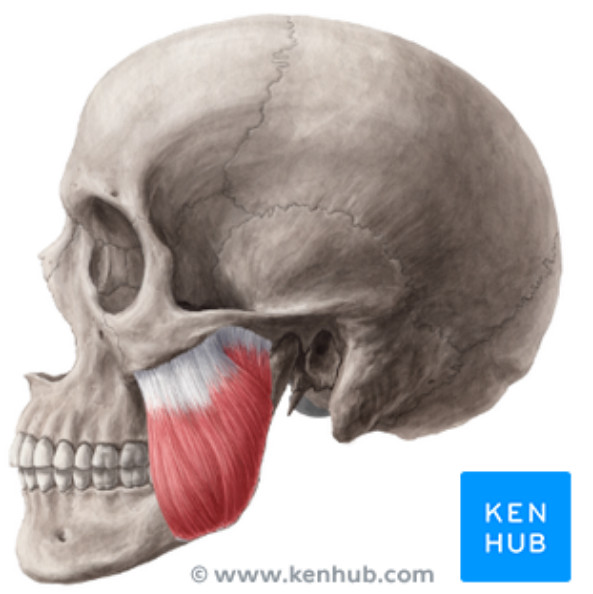 17 sự thật đáng kinh ngạc về cơ thể của con người 17 sự thật đáng kinh ngạc về cơ thể của con người