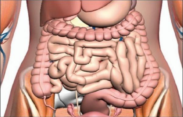 17 sự thật đáng kinh ngạc về cơ thể của con người 17 sự thật đáng kinh ngạc về cơ thể của con người