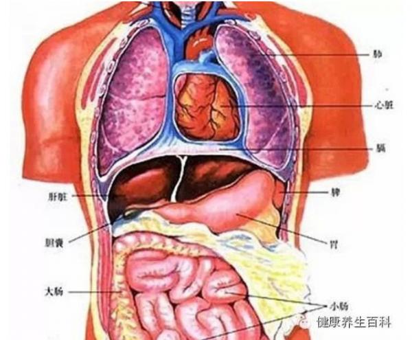 17 sự thật đáng kinh ngạc về cơ thể của con người 17 sự thật đáng kinh ngạc về cơ thể của con người