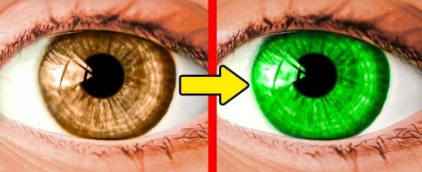 17 sự thật đáng kinh ngạc về cơ thể của con người 17 sự thật đáng kinh ngạc về cơ thể của con người