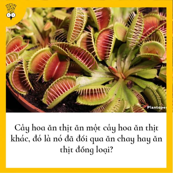 Những suy nghĩ nhảm nhí nhưng có tính giác ngộ cao từng bất chợt nảy ra trong đầu loài người Những suy nghĩ nhảm nhí nhưng có tính giác ngộ cao từng bất chợt nảy ra trong đầu loài người