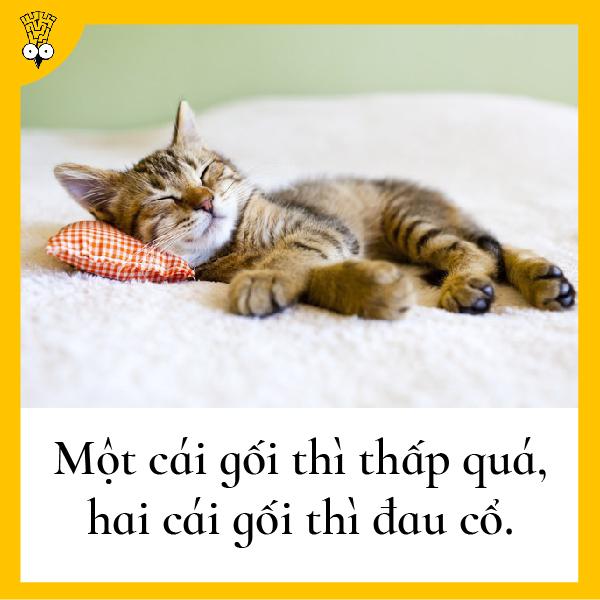 Những suy nghĩ nhảm nhí nhưng có tính giác ngộ cao từng bất chợt nảy ra trong đầu loài người Những suy nghĩ nhảm nhí nhưng có tính giác ngộ cao từng bất chợt nảy ra trong đầu loài người