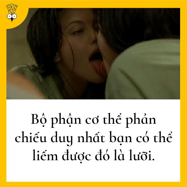 Những suy nghĩ nhảm nhí nhưng có tính giác ngộ cao từng bất chợt nảy ra trong đầu loài người Những suy nghĩ nhảm nhí nhưng có tính giác ngộ cao từng bất chợt nảy ra trong đầu loài người