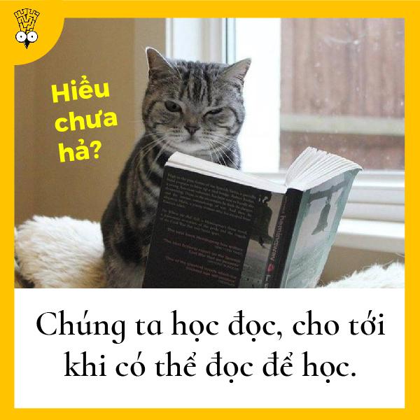 Những suy nghĩ nhảm nhí nhưng có tính giác ngộ cao từng bất chợt nảy ra trong đầu loài người Những suy nghĩ nhảm nhí nhưng có tính giác ngộ cao từng bất chợt nảy ra trong đầu loài người